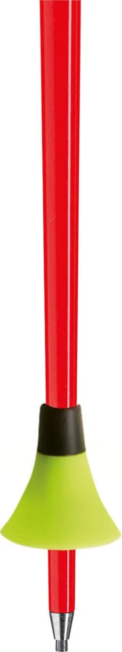 LEKI WCR TBS GS 3D - Skistöcke